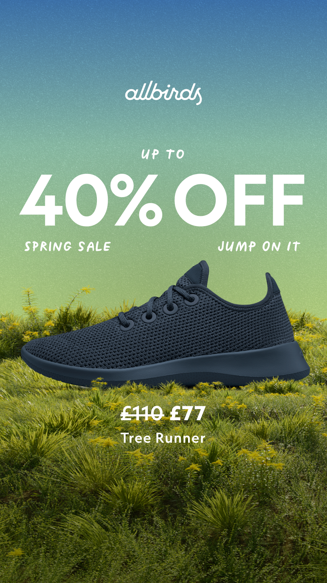 Allbirds Facebook ad