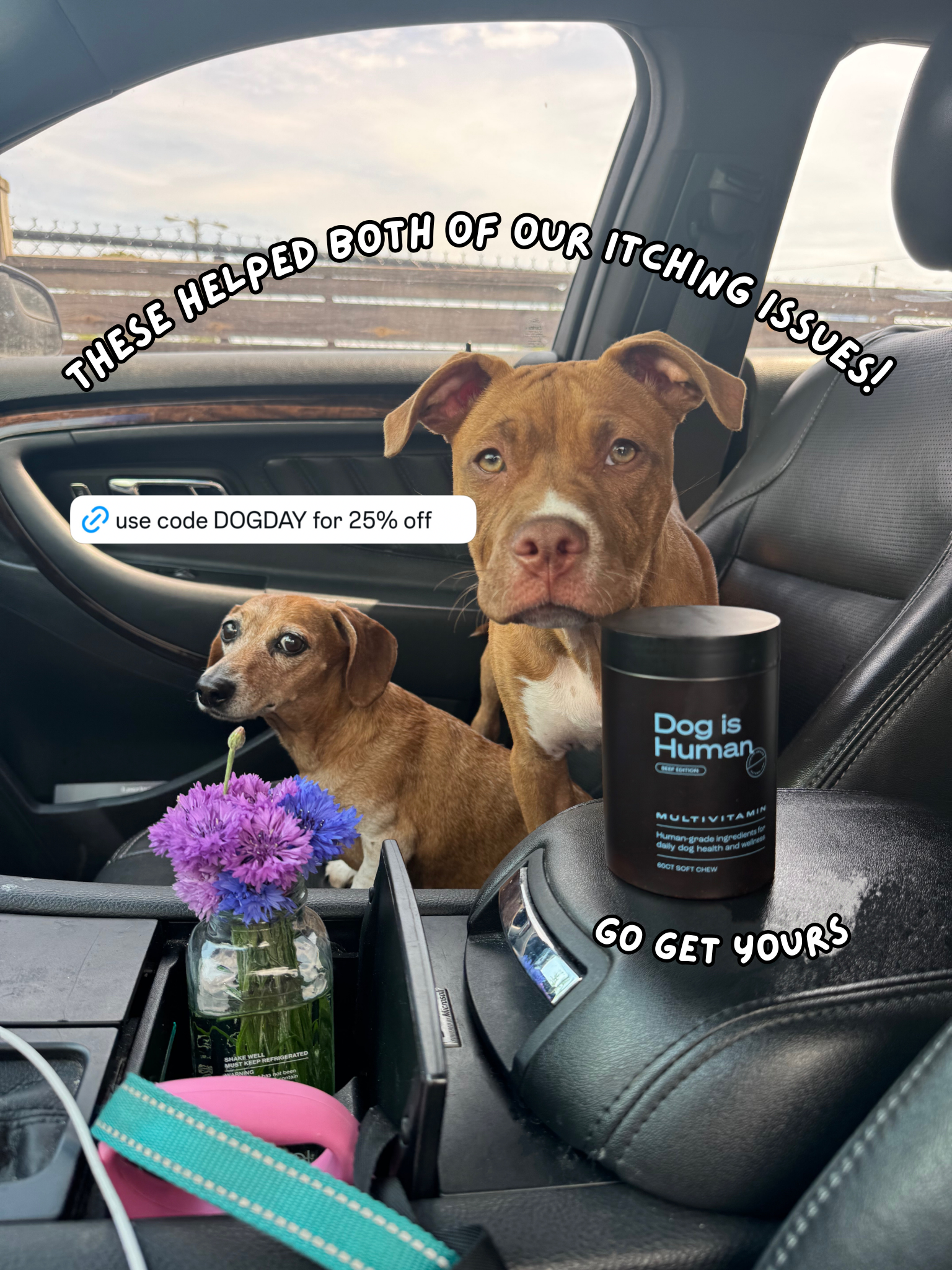 Dog is Human Facebook ad