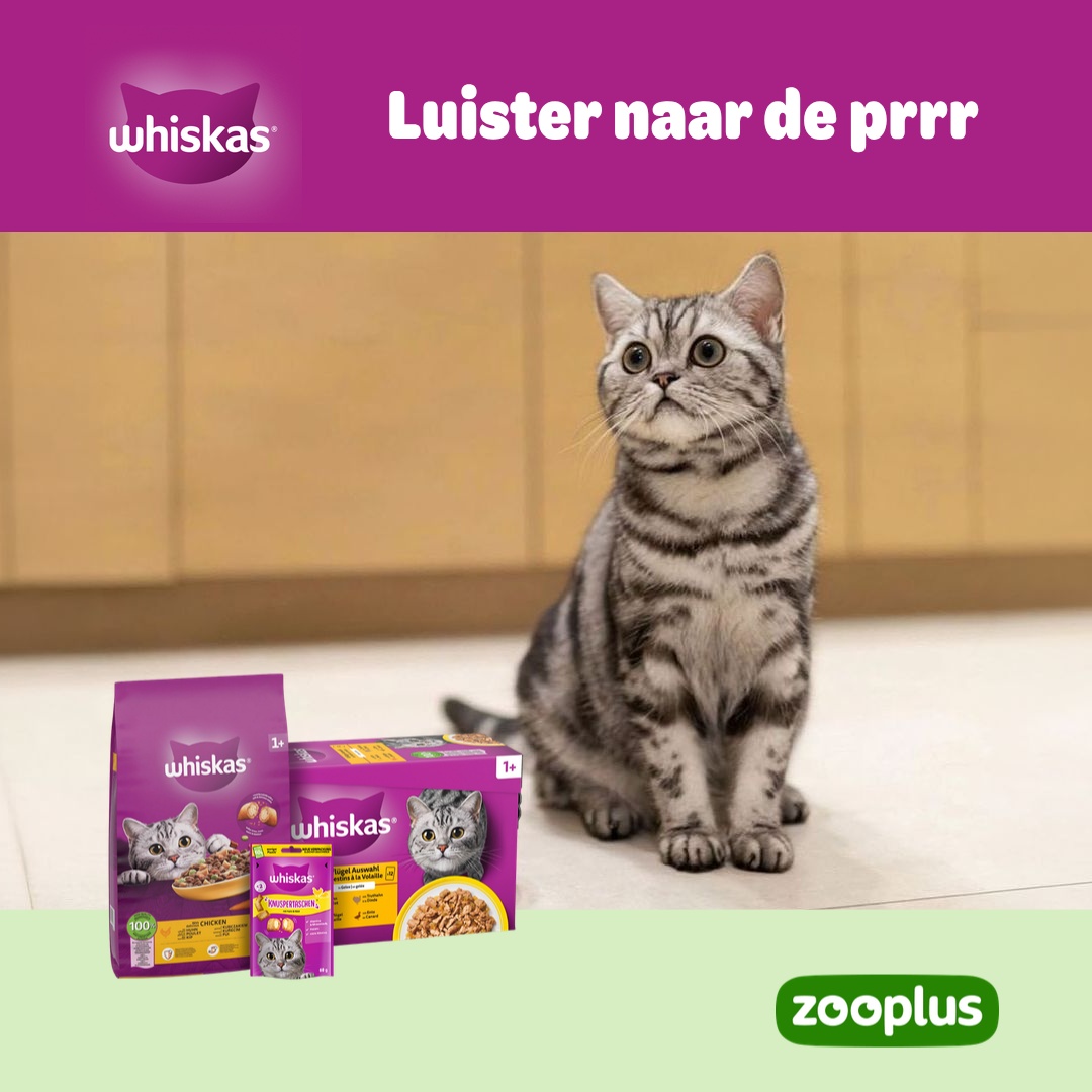 zooplus Facebook ad: WHISKAS