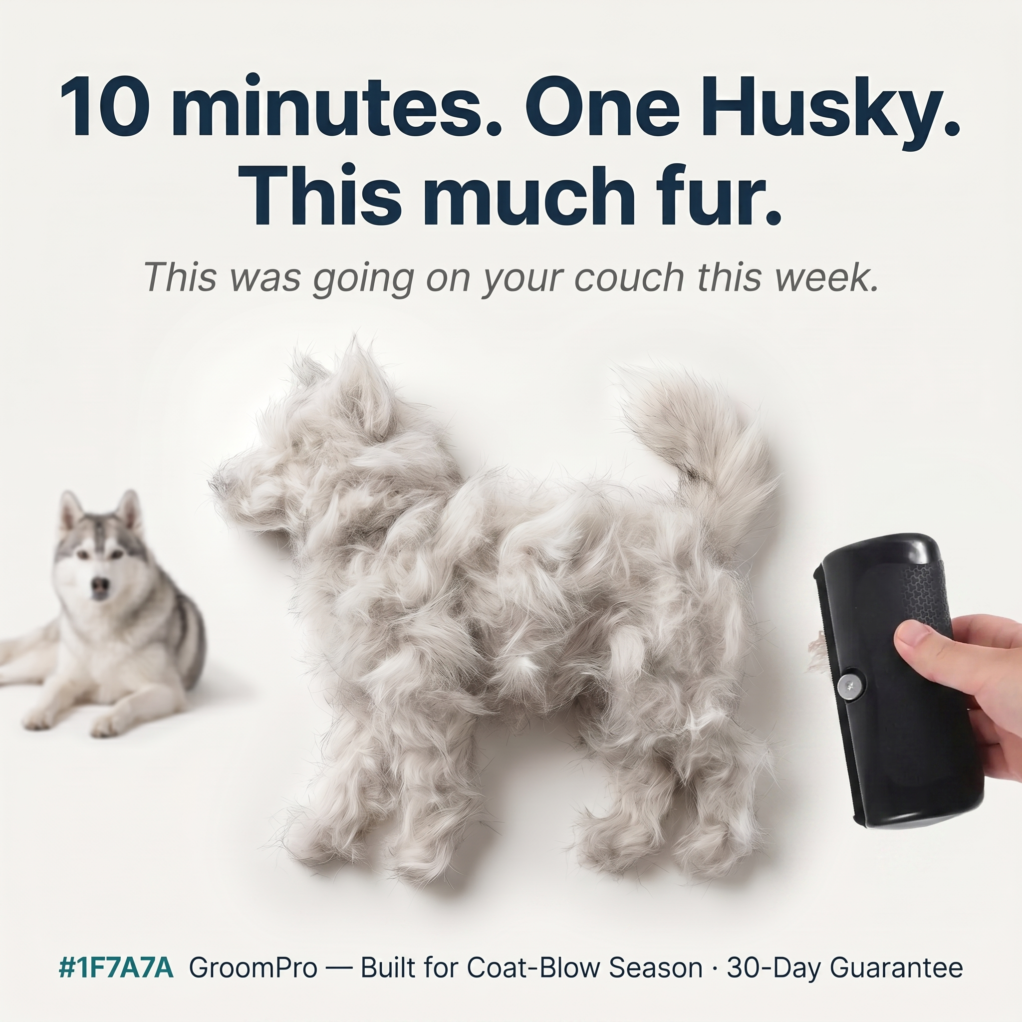 Rhykin Pet Co Facebook ad