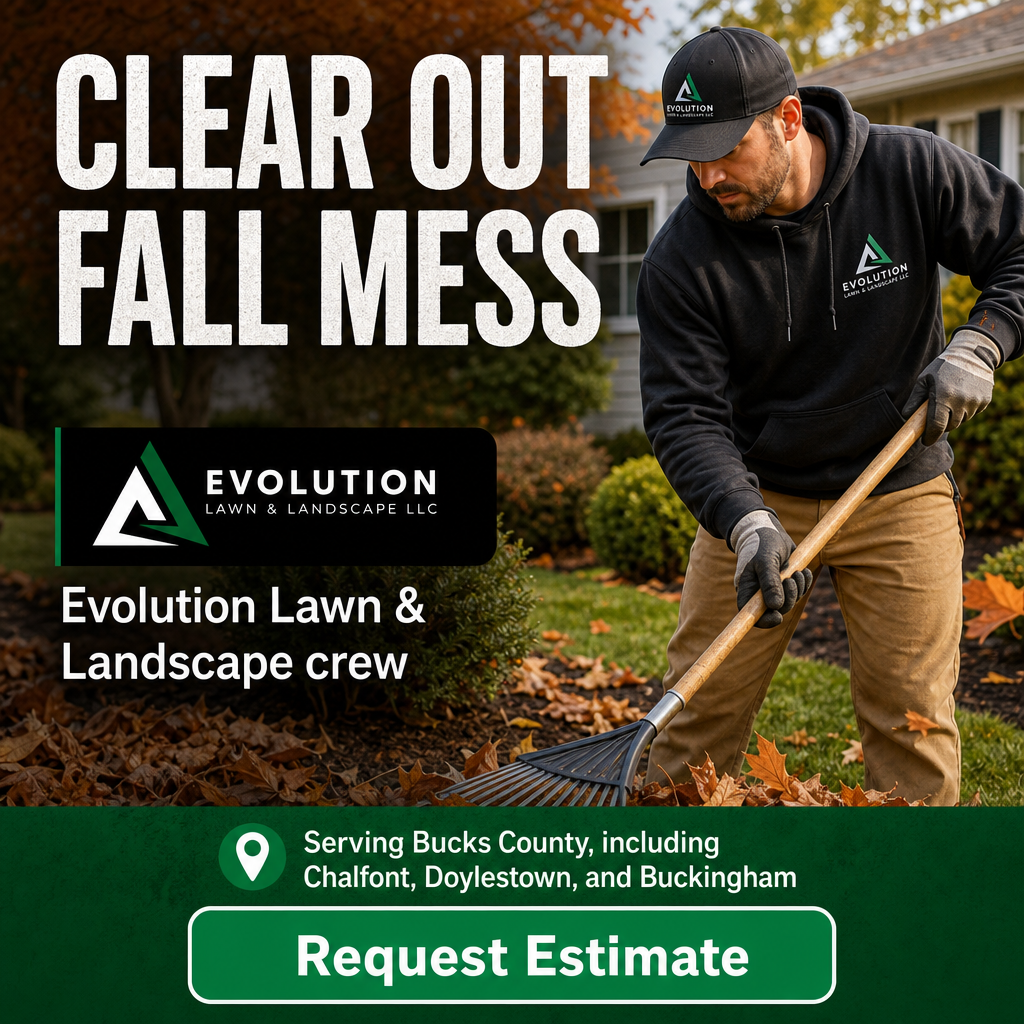 Kopa.ai - Your Local Favorites Facebook ad: Clear Out Fall Mess