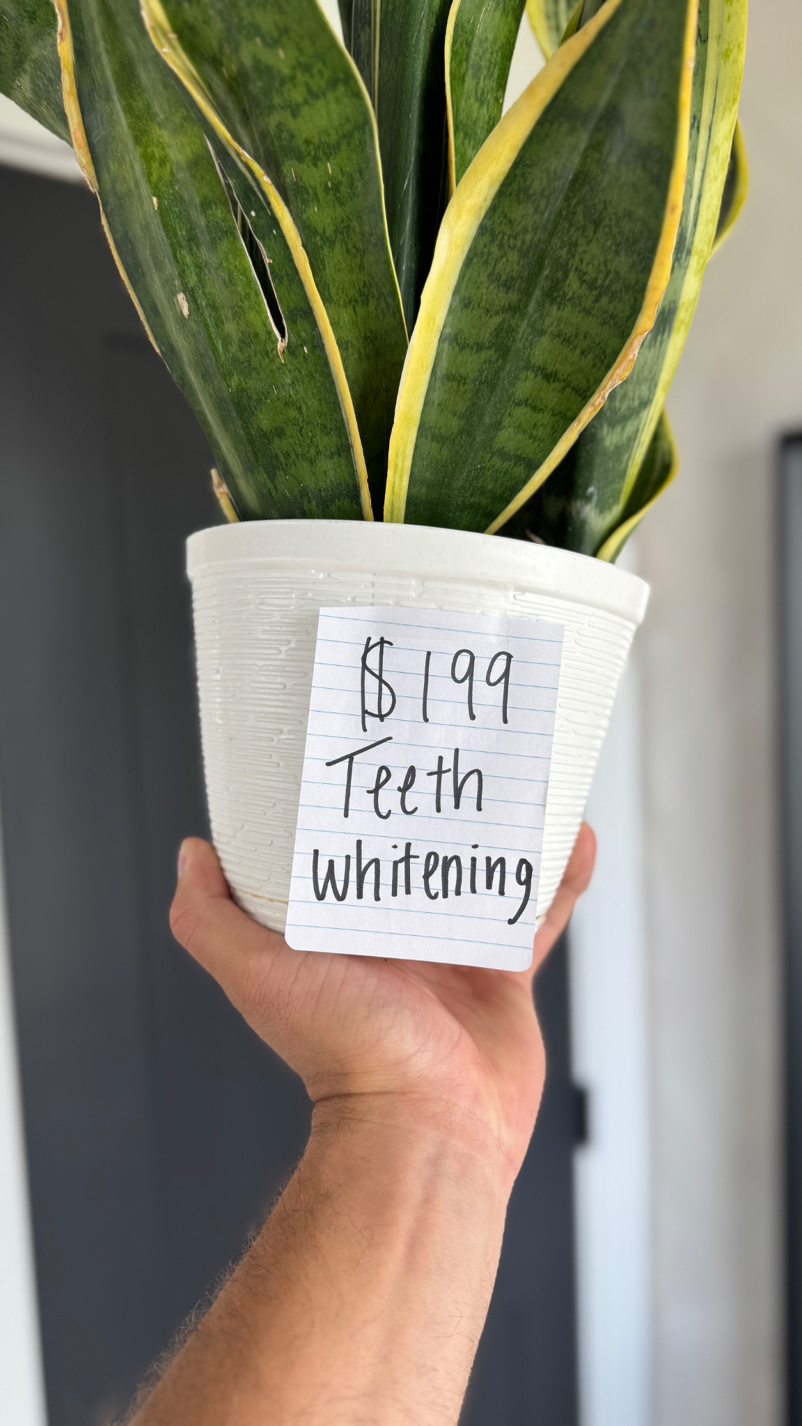 SmileNova Teeth Whitening Facebook ad from Dec 15, 2025