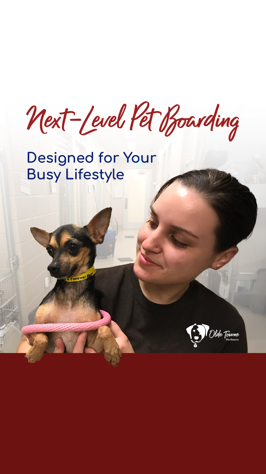 Olde Towne Pet Resort Facebook ad from Jun 22, 2026