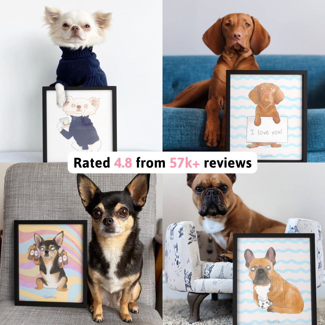 Crown & Paw Facebook ad