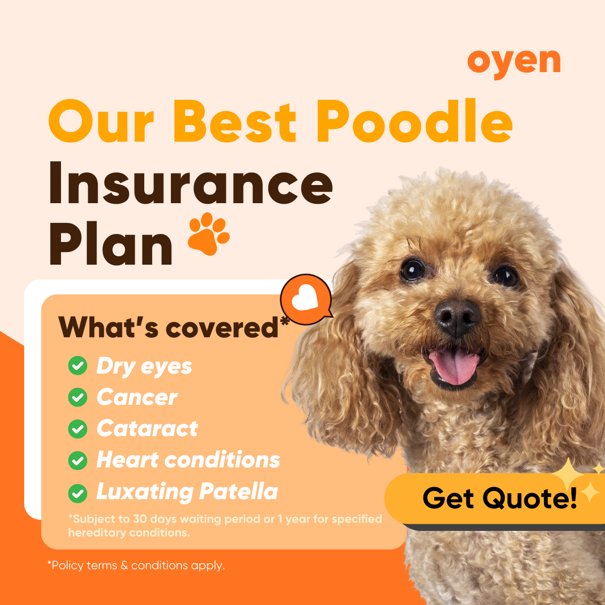 Oyen Pet Insurance & Takaful Kucing Facebook ad