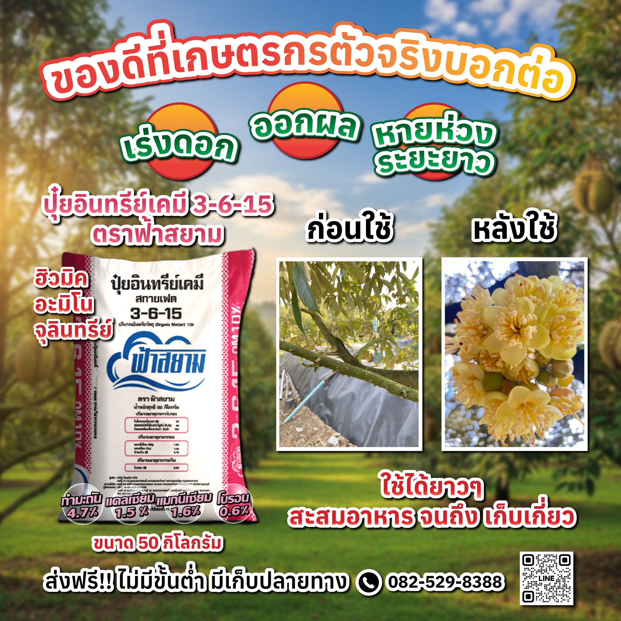 ปุ๋ยตราฟ้าสยาม Facebook ad: คุ้มแบบหลายระยะพืชผล ทำไมชาวสวน ถึงแนะนำ