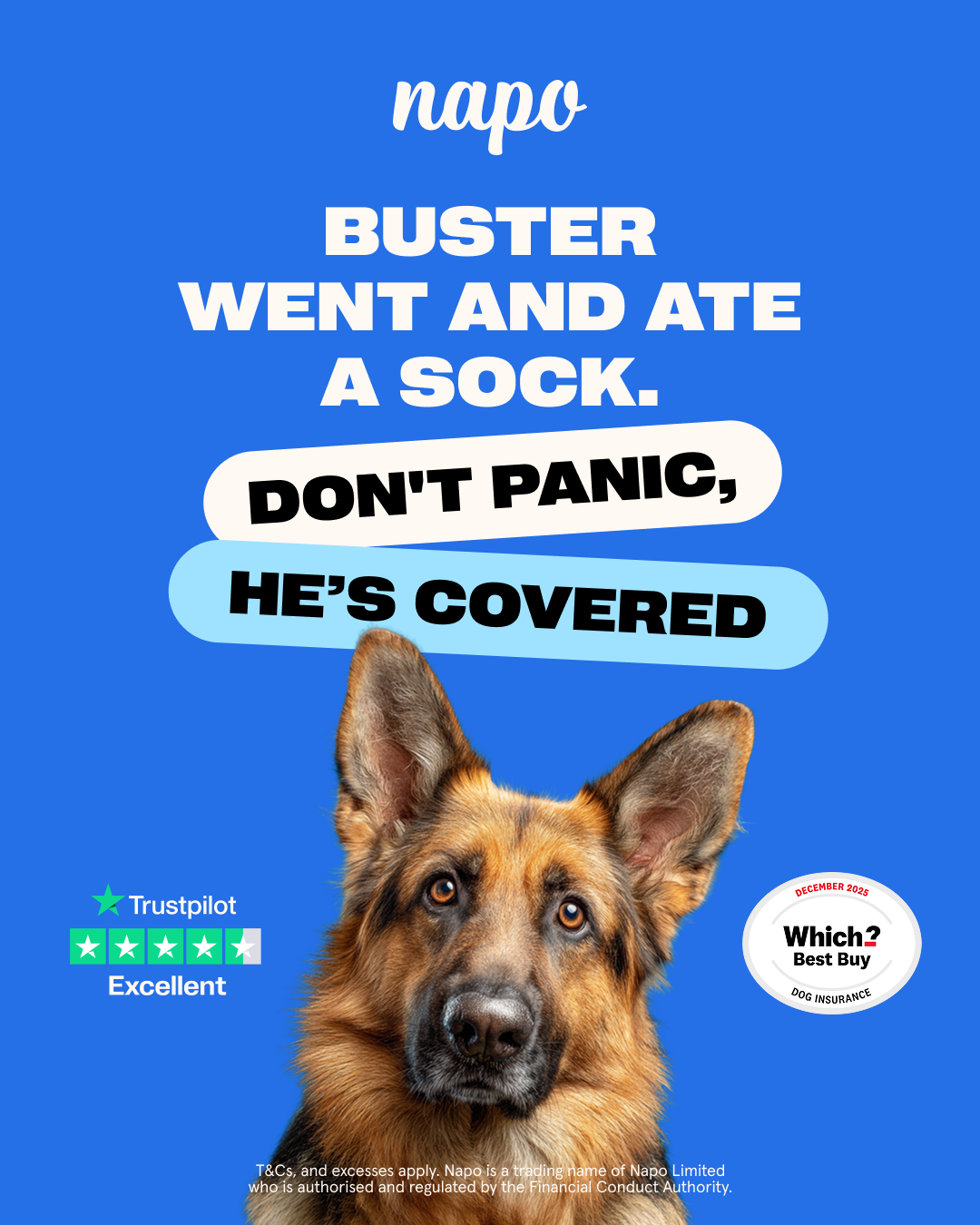 Napo Pet Insurance Facebook ad