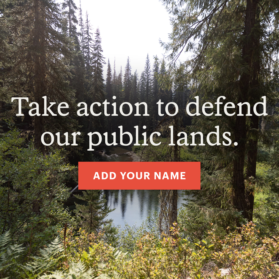 REI Facebook ad
