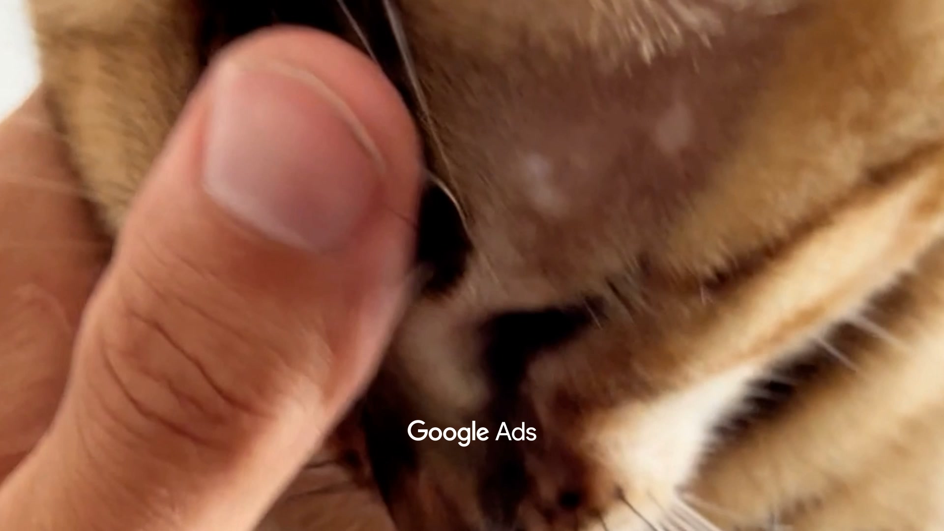Google Ads Facebook ad: Smart Ads, Simple Setup