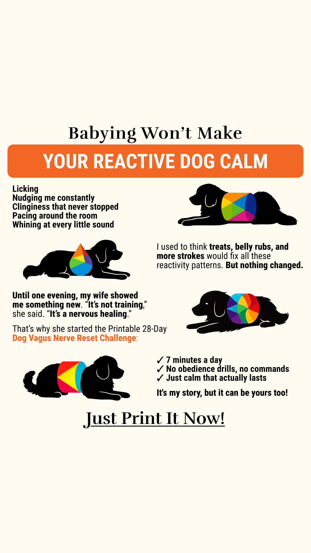 Dog's Vagus Nerve Reset Challenge Facebook ad