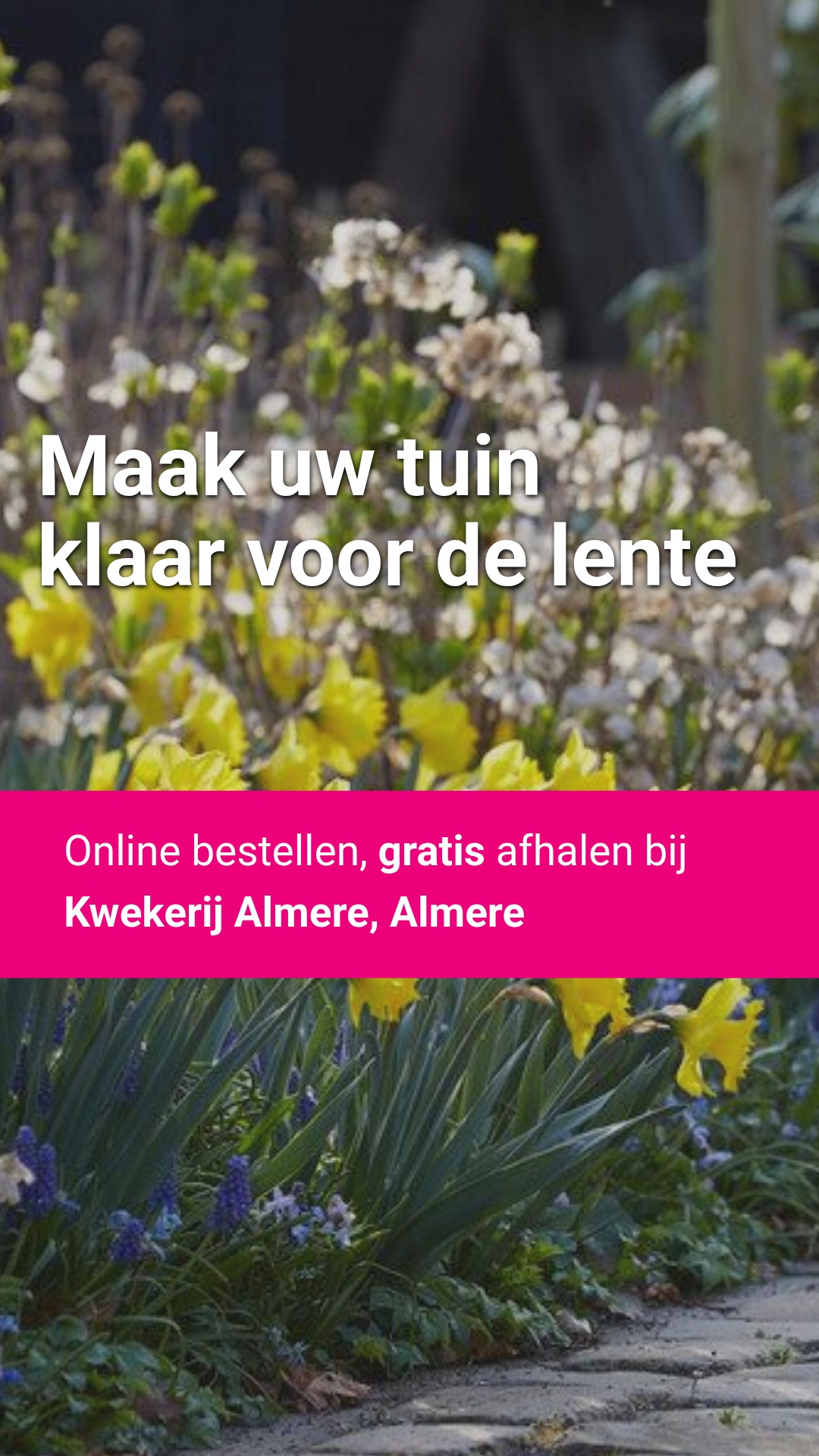 Directplant Facebook ad