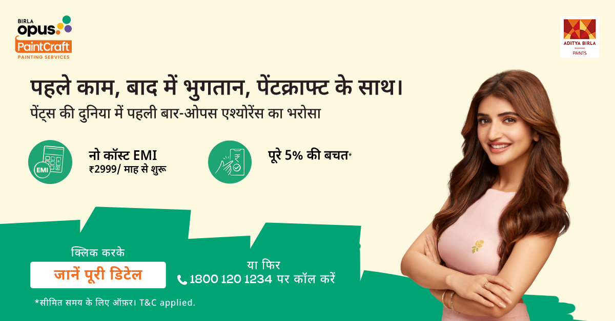 Birla Opus PaintCraft Facebook ad: साल रीवर्क के साथ इंटीरियर पेंटिंग
