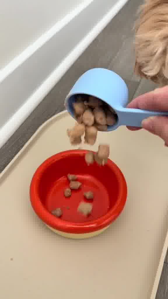 olliepopmaltipoo Facebook ad: UnKibble, Try for 50% Off Today