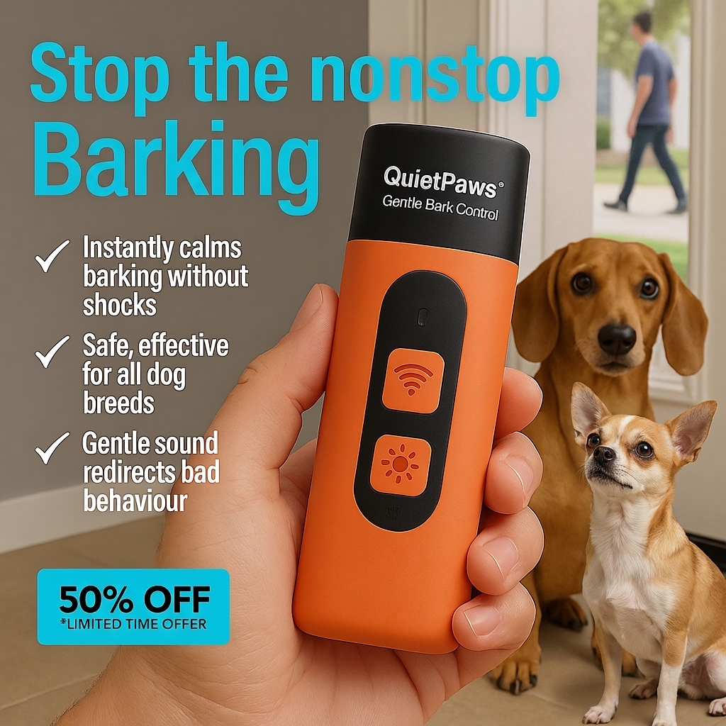 Hunters Doggy Daycare Facebook ad