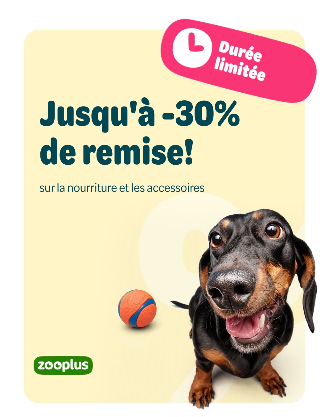 zooplus Facebook ad