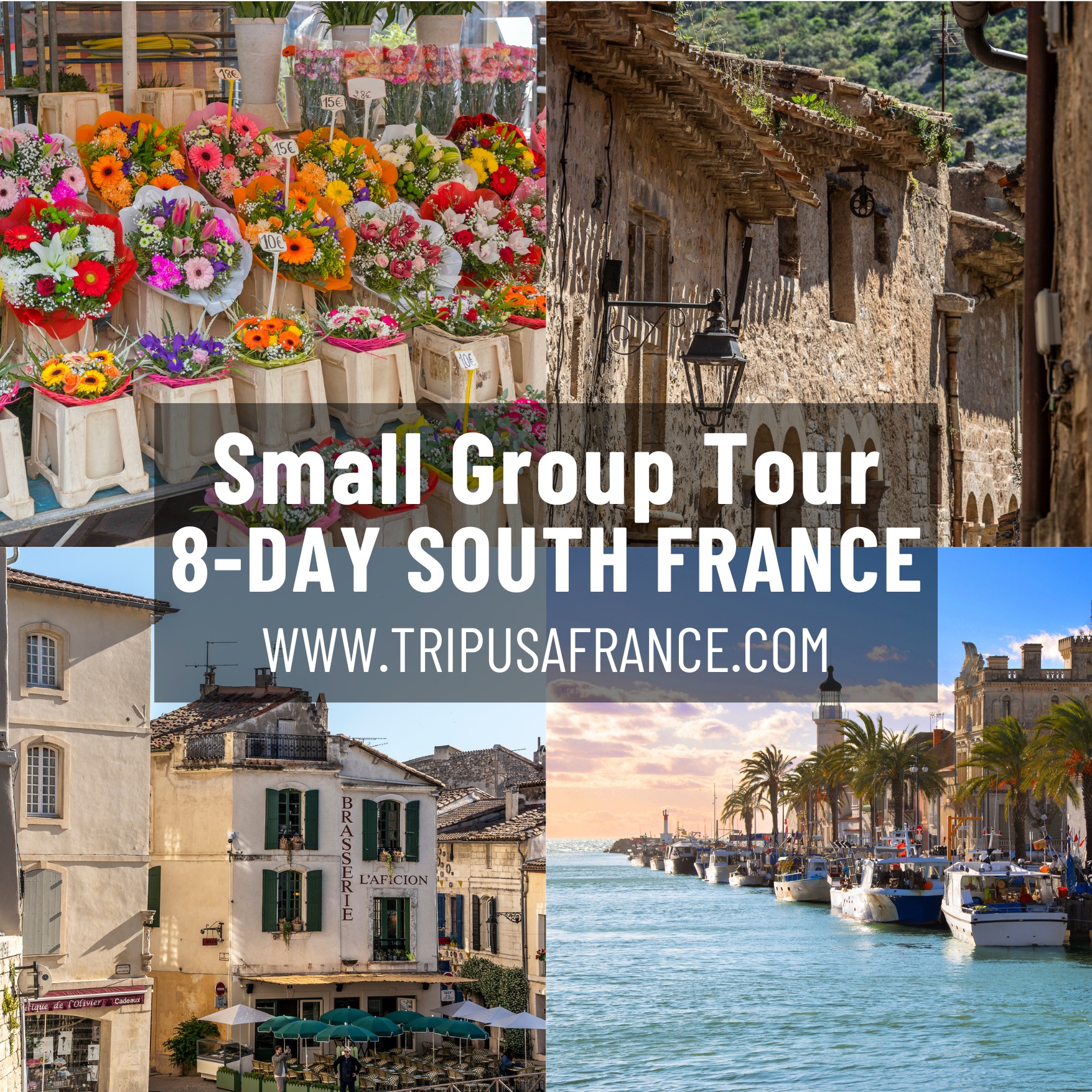 Trip USA France Facebook ad