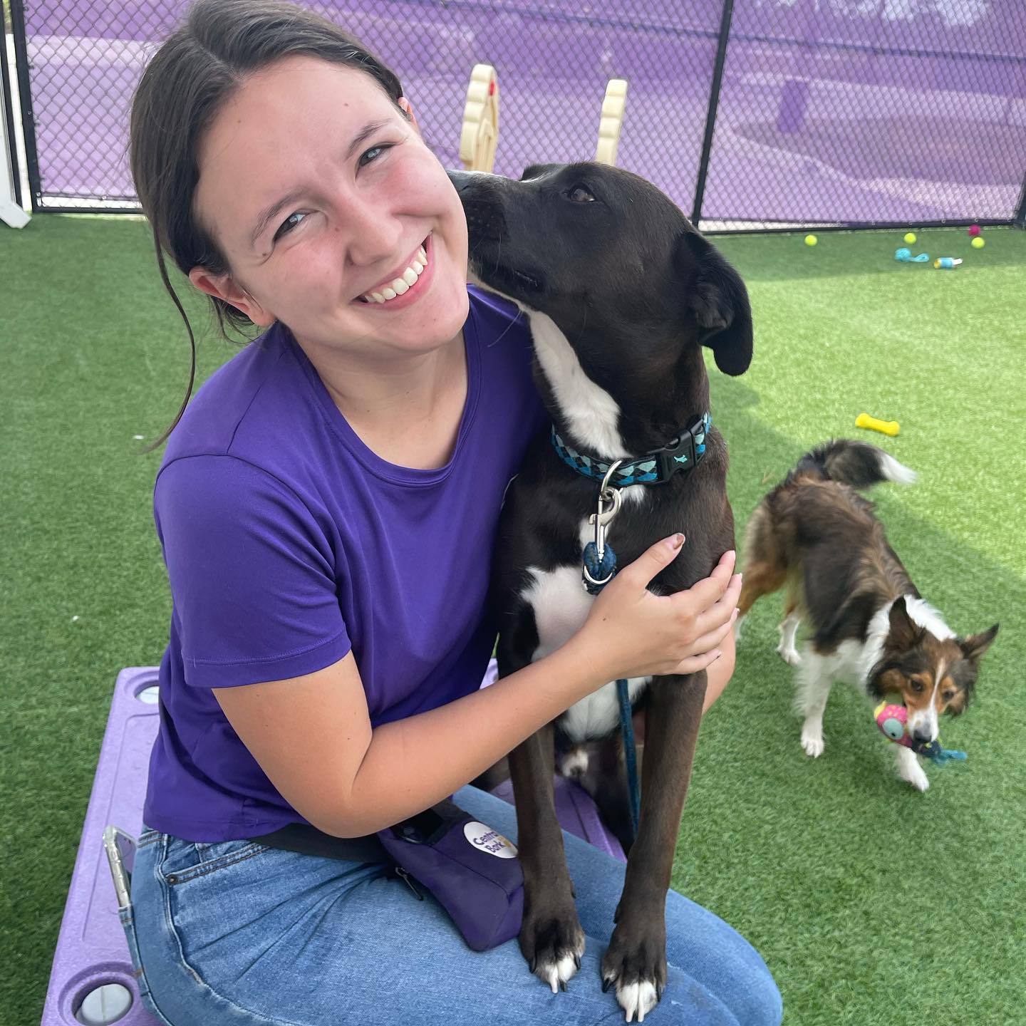 Central Bark Asheville Facebook ad: Central Bark Asheville - Doggy daycare, boarding, grooming…