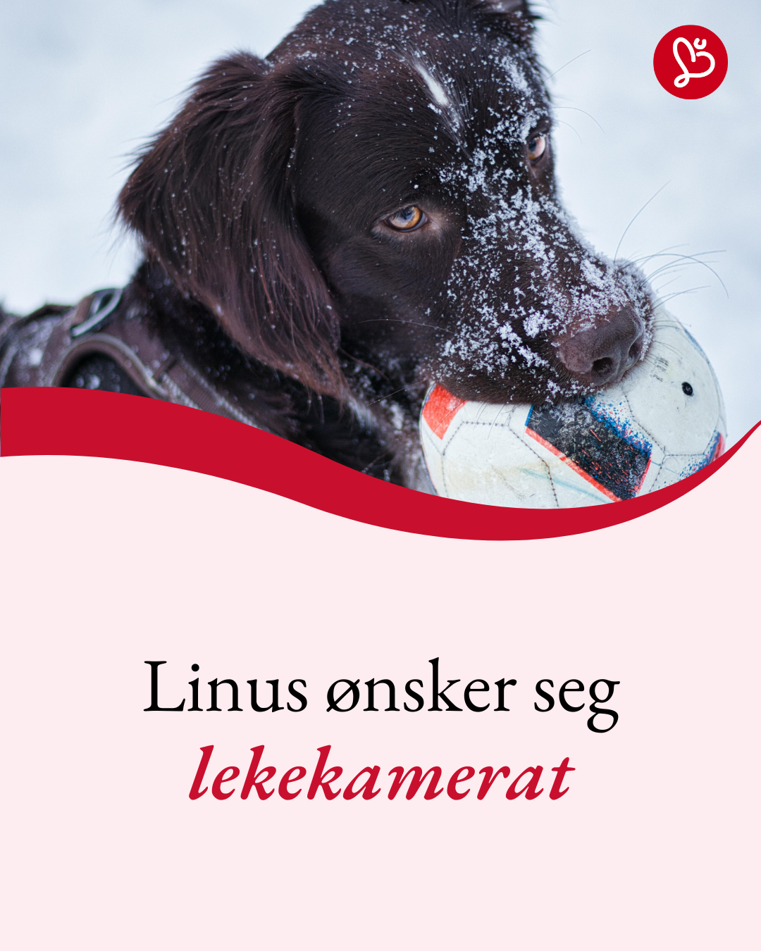 Humana omsorg og assistanse Facebook ad: Vil du gi barn en trygg havn?