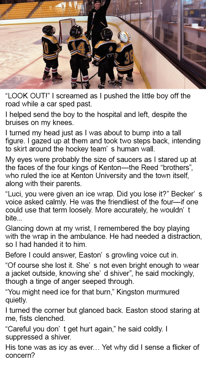 Romantic Novels-Storys Facebook ad: reading the uncensored version Holiday Hockey Tale: The…