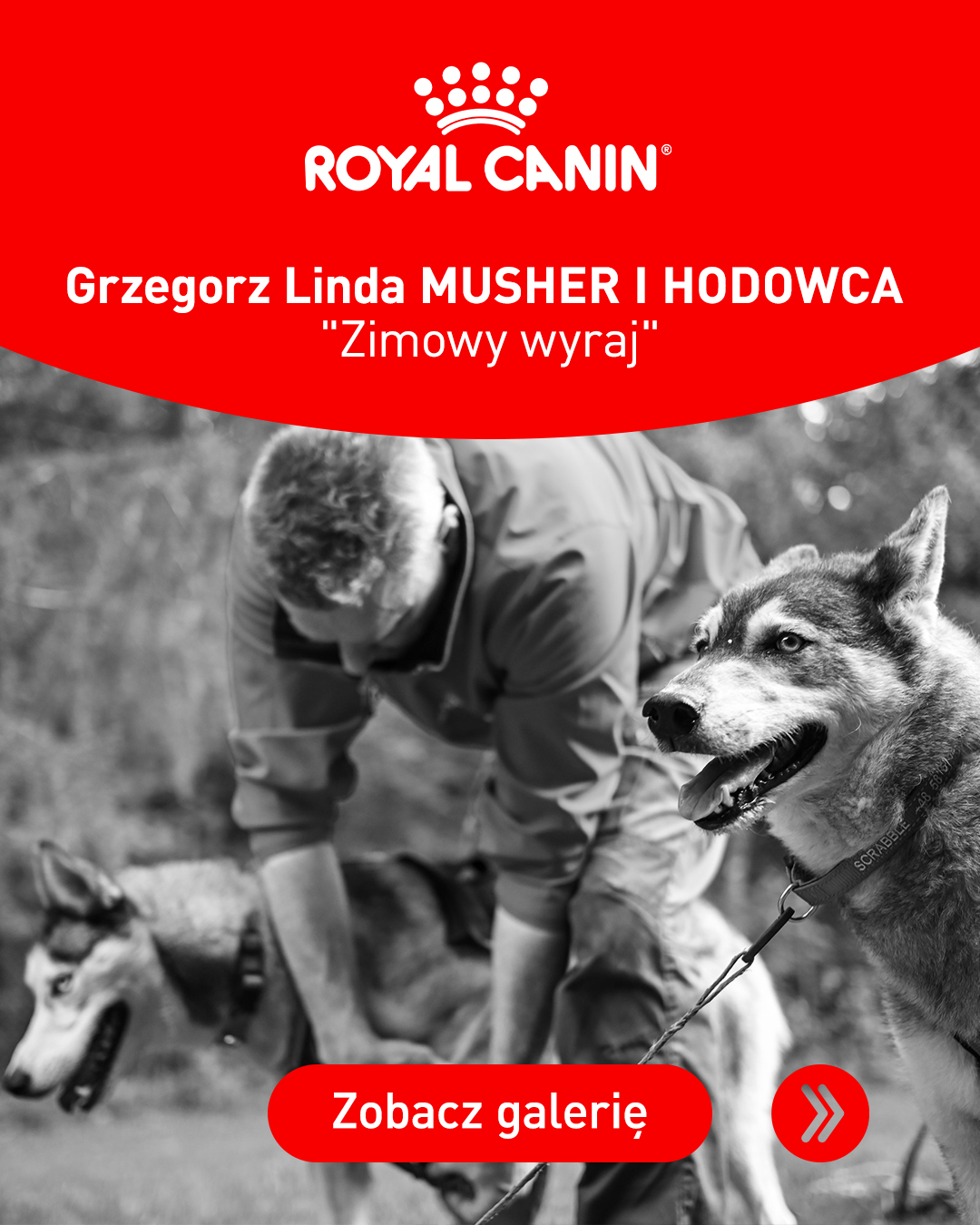Royal Canin Facebook ad: Cierpliwość, nieustanna obserwacja i miłość wyrażana…