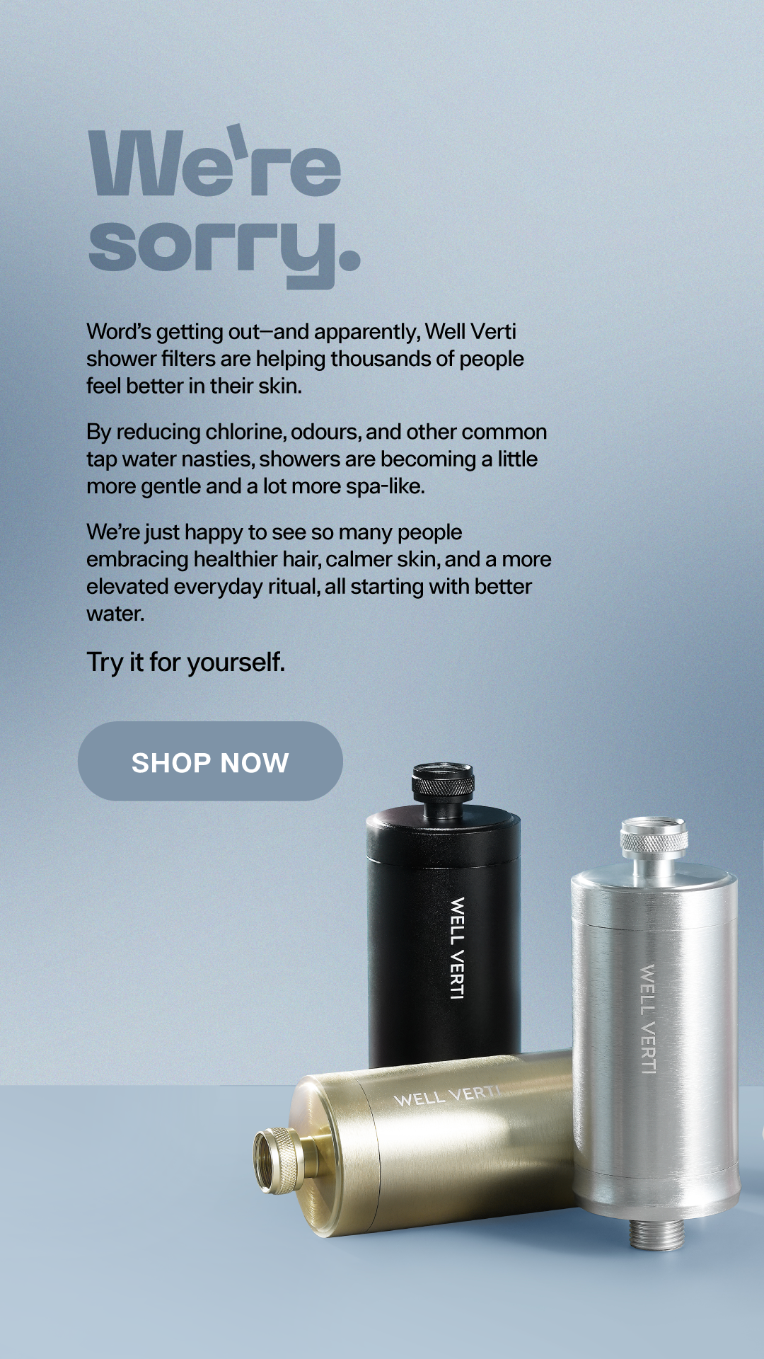 Well Verti Facebook ad