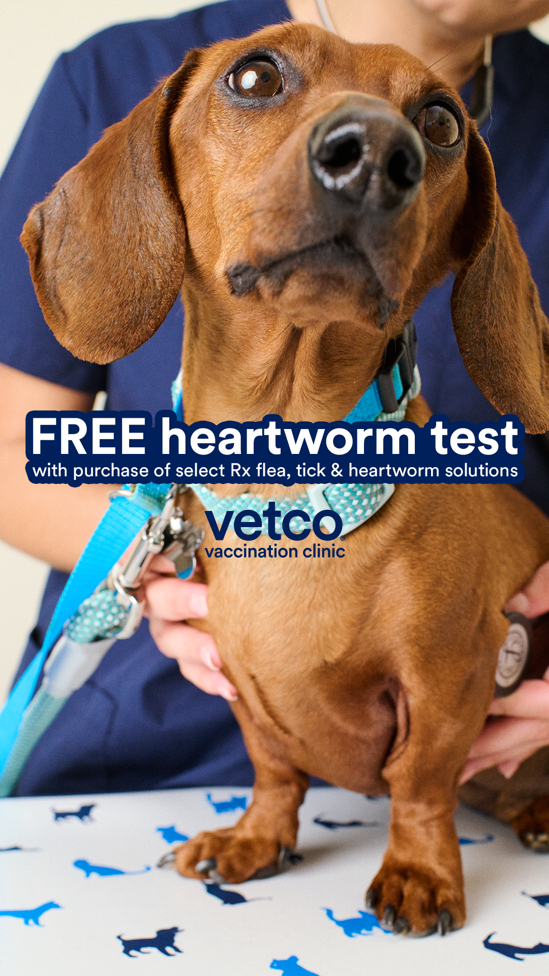 Petco Facebook ad