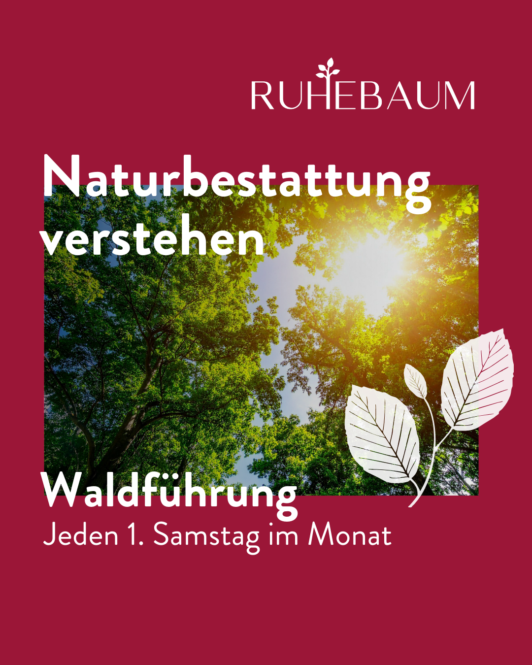 Ruhebaum - Frieden finden im Wald Facebook ad from May 5, 2026