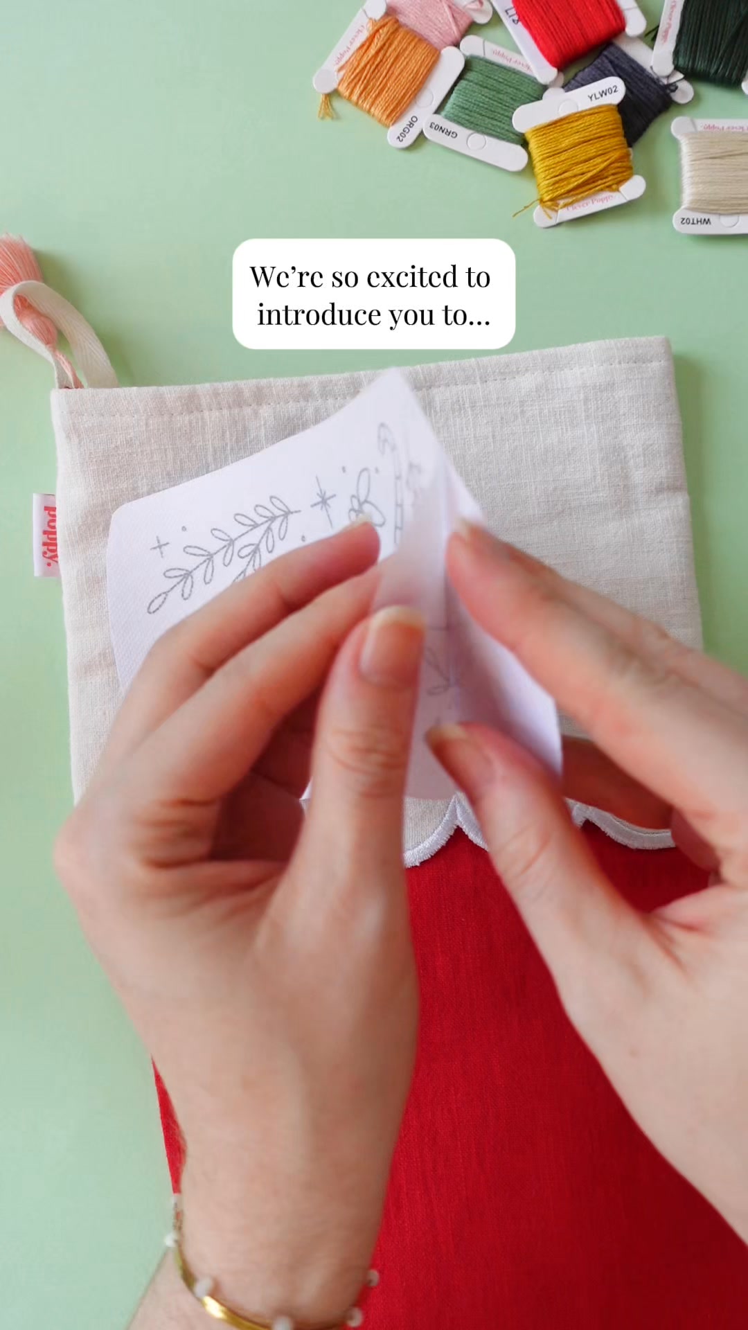 Clever Poppy Facebook ad: Embroidery Kit for Beginners