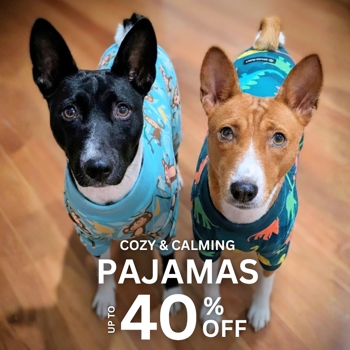 Spark Paws Facebook ad