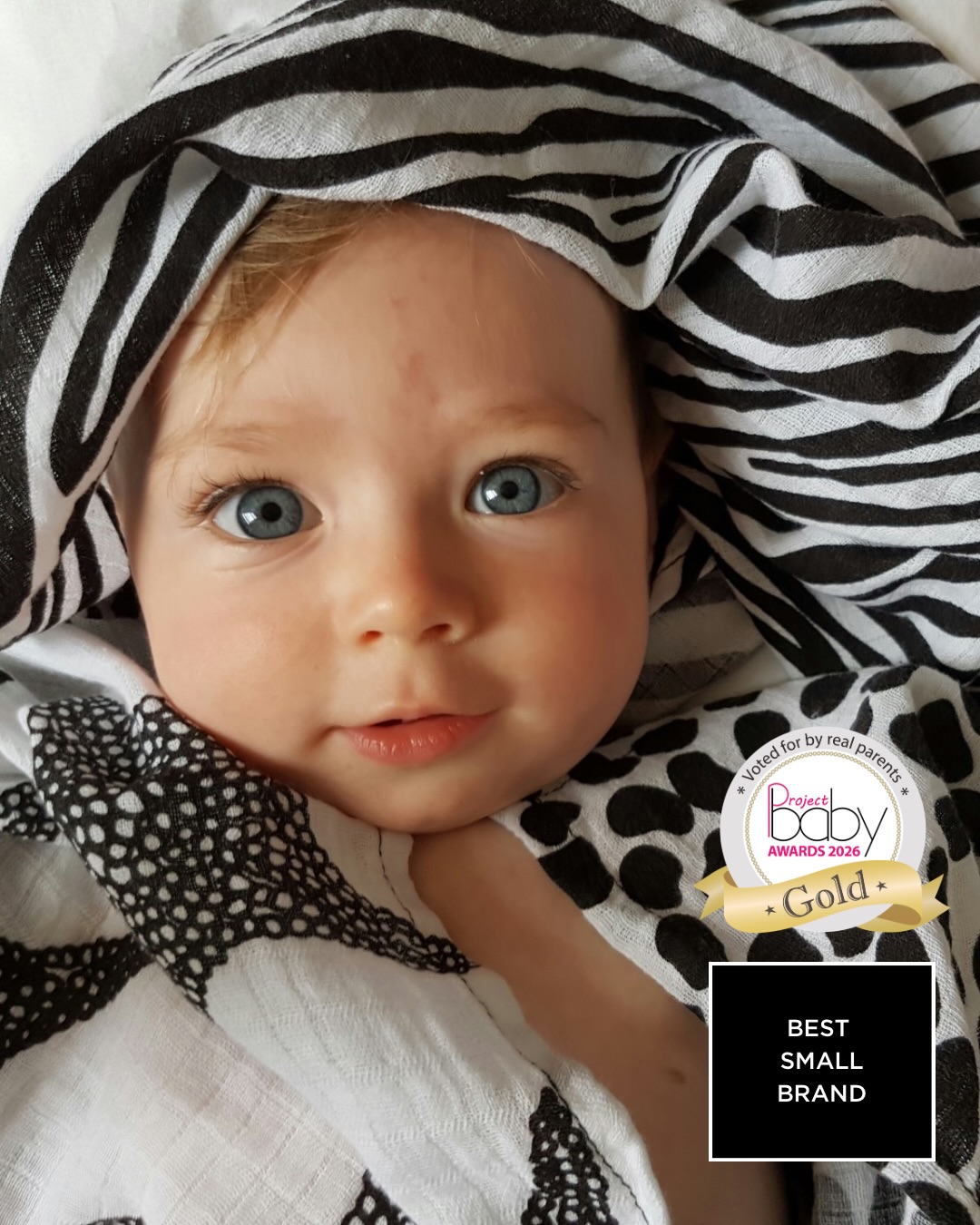 Etta Loves Facebook ad: Voted Gold by Real Parents