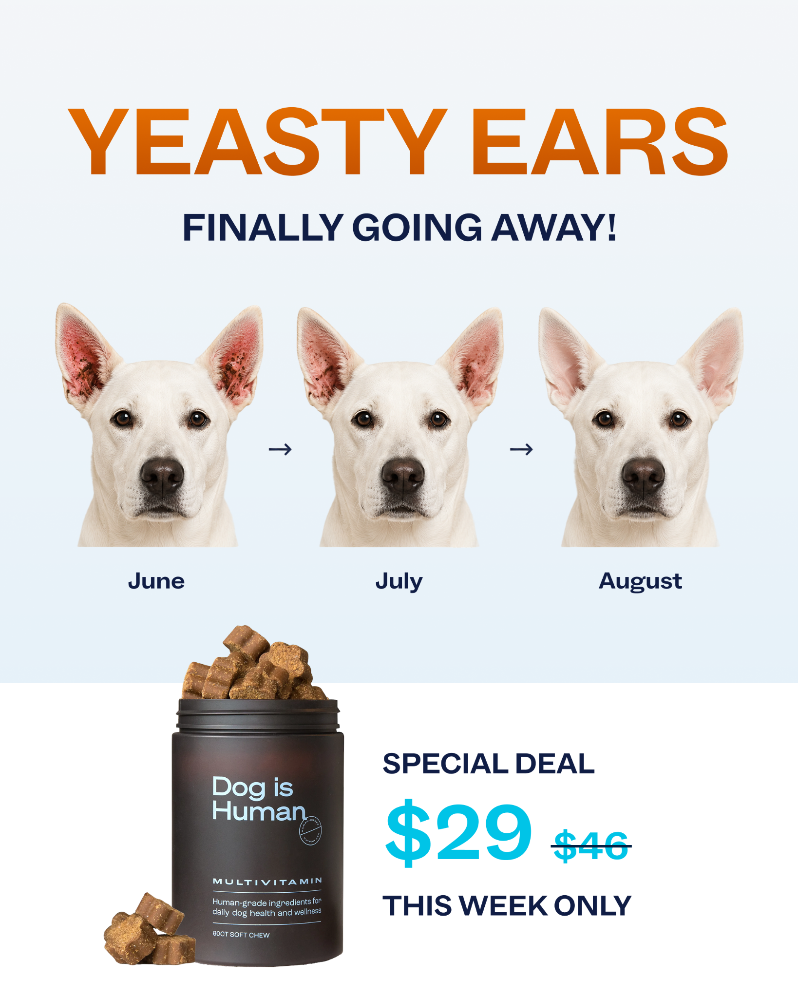 Dog is Human Facebook ad