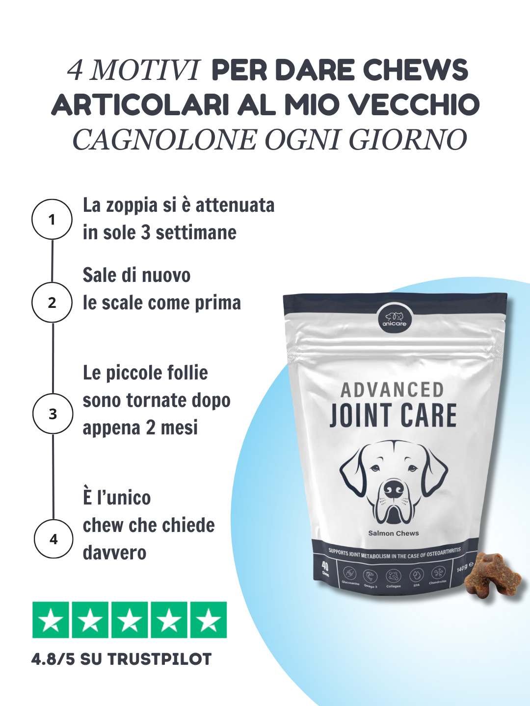Vet Assoc. Europe Facebook ad: Il tuo cane non è vecchio Ha solo dolore