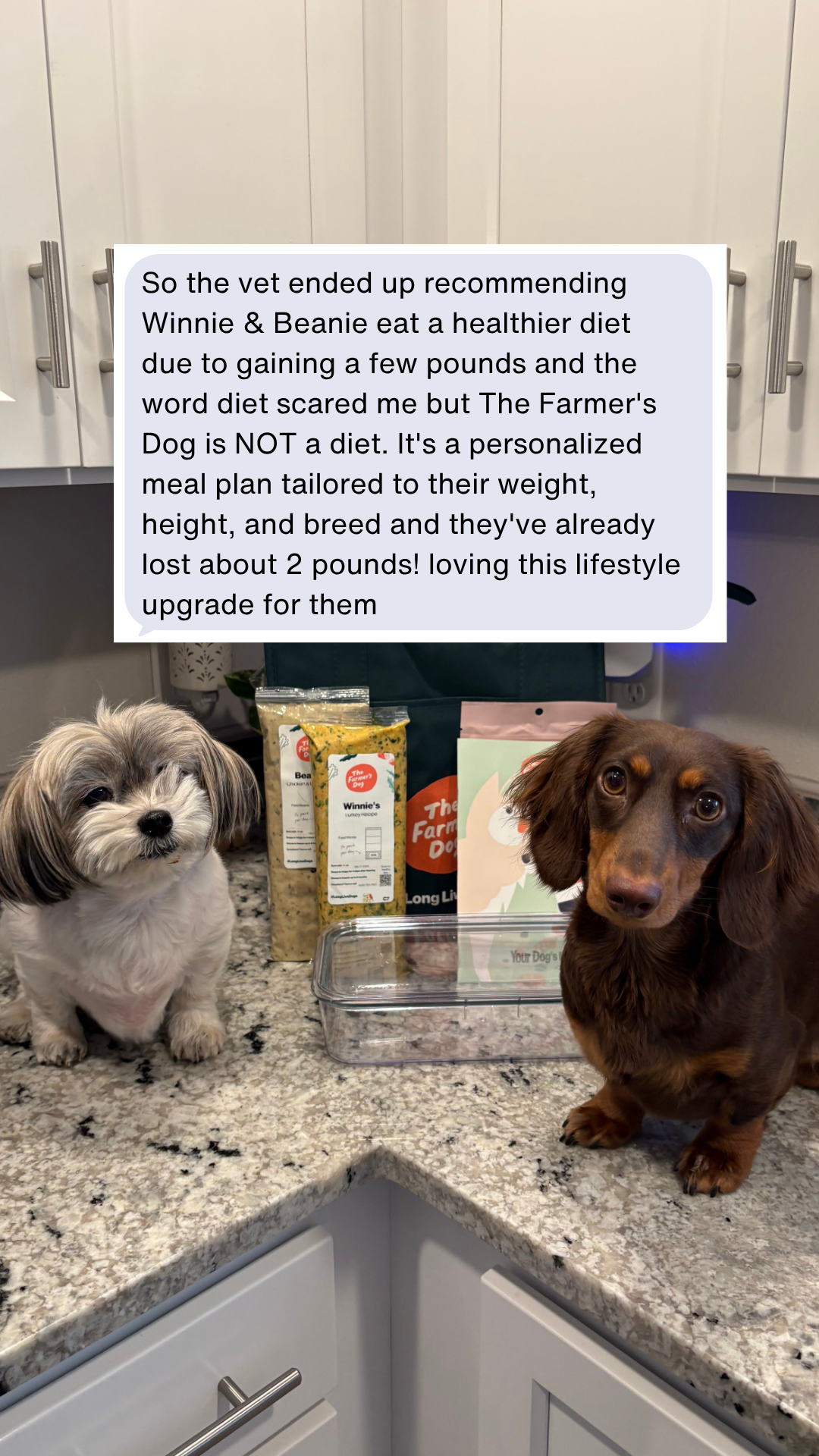 Rounds Of A Paws Facebook ad