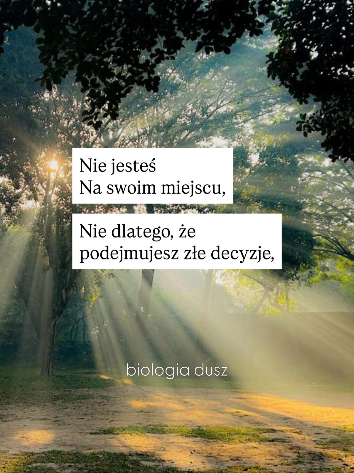 Biologia Dusz Facebook ad: Działanie w zgodzie ze swoim Human Design jest…