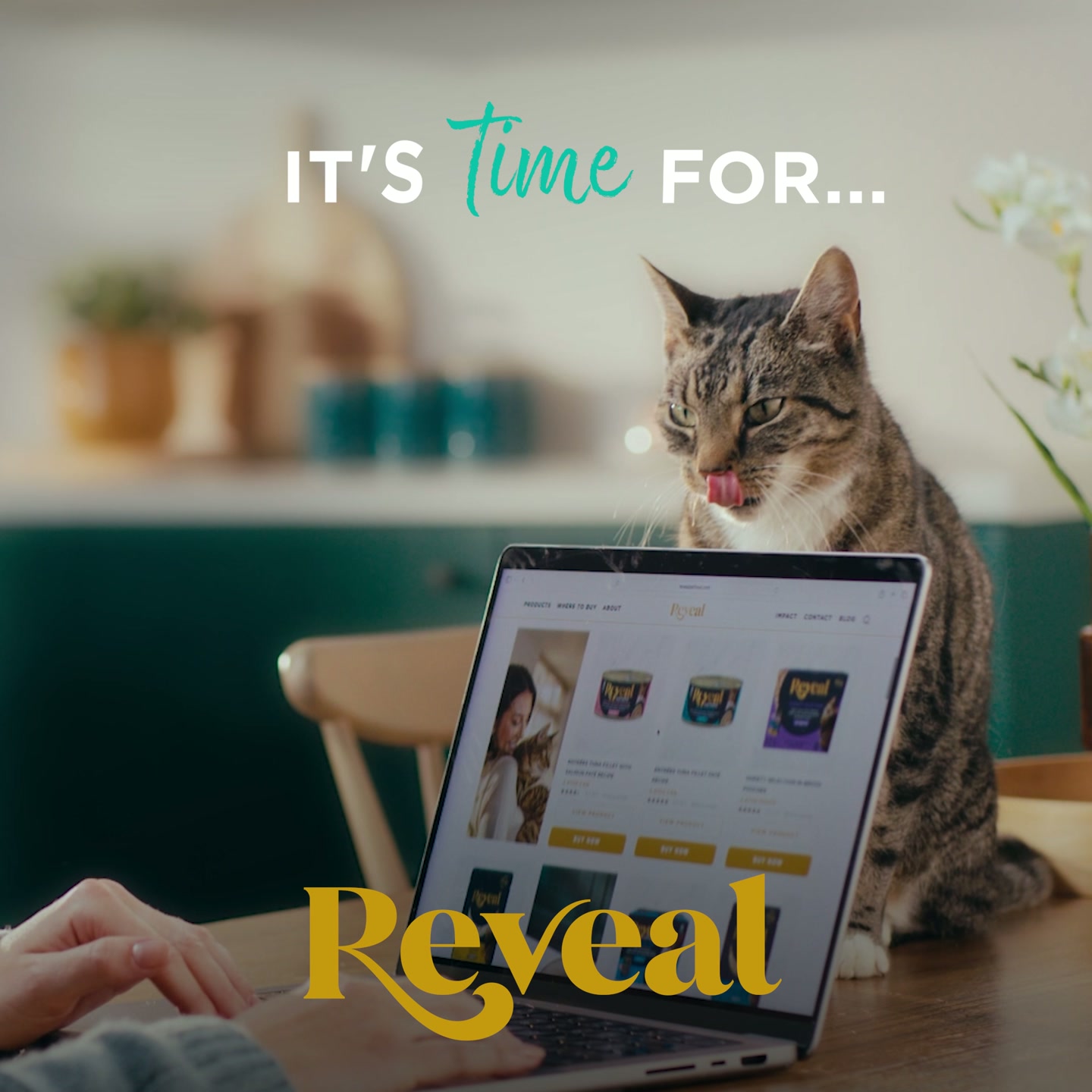 Reveal Pet food Facebook ad: Reveal Entrées are Nutritious & Purrfectly Delicious Entrées