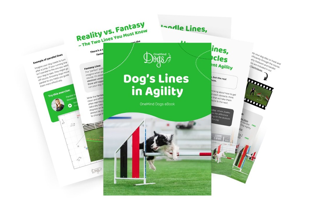 OneMind Dogs Facebook ad: Dog's lines in agility: Download a free eBook by OneMind…