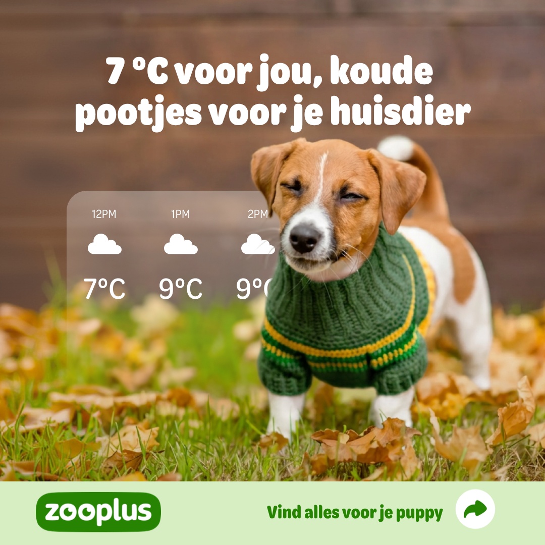 zooplus Facebook ad: Hondenkleding Selecteer uit 462 producten.