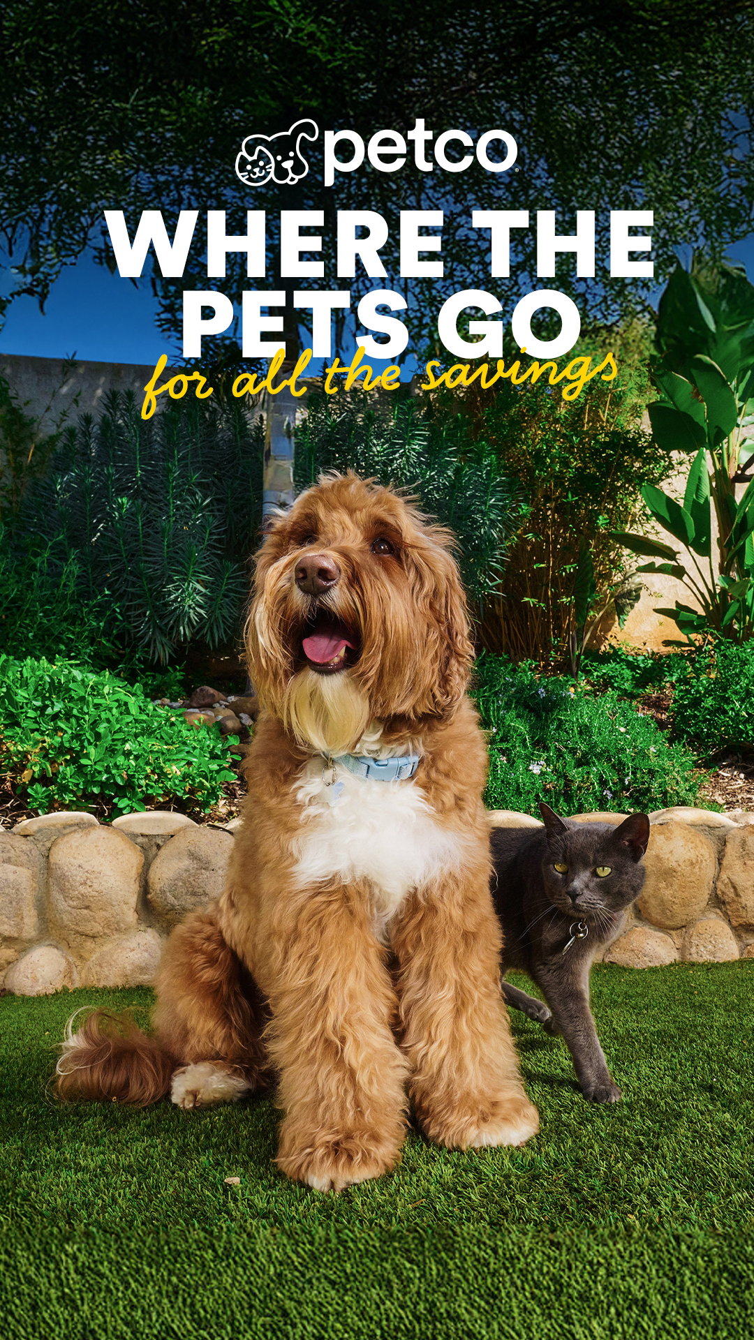 Petco Facebook ad