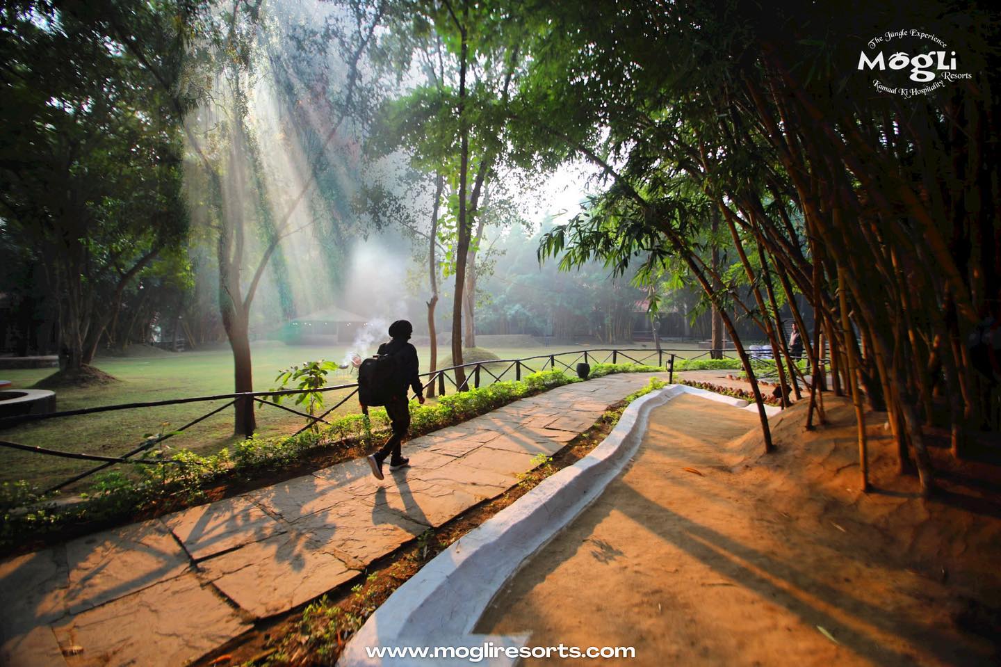 Mogli Resorts, Bandhavgarh Facebook ad