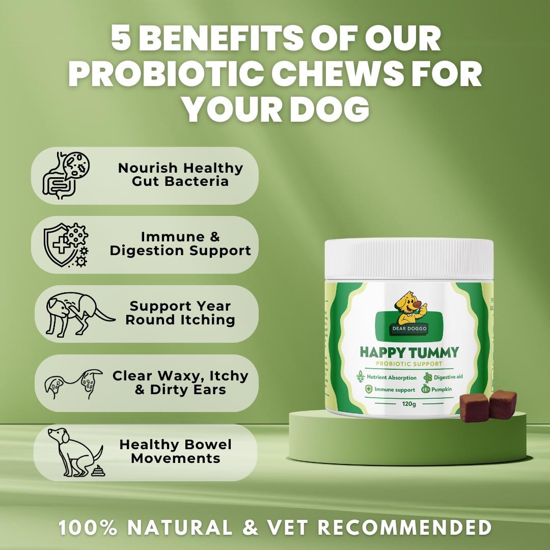 Dear Doggo Facebook ad
