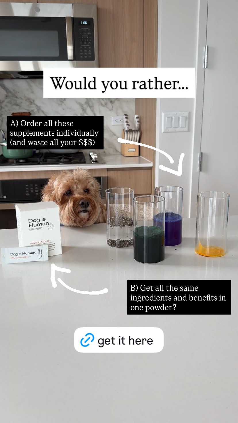 Dog is Human Facebook ad