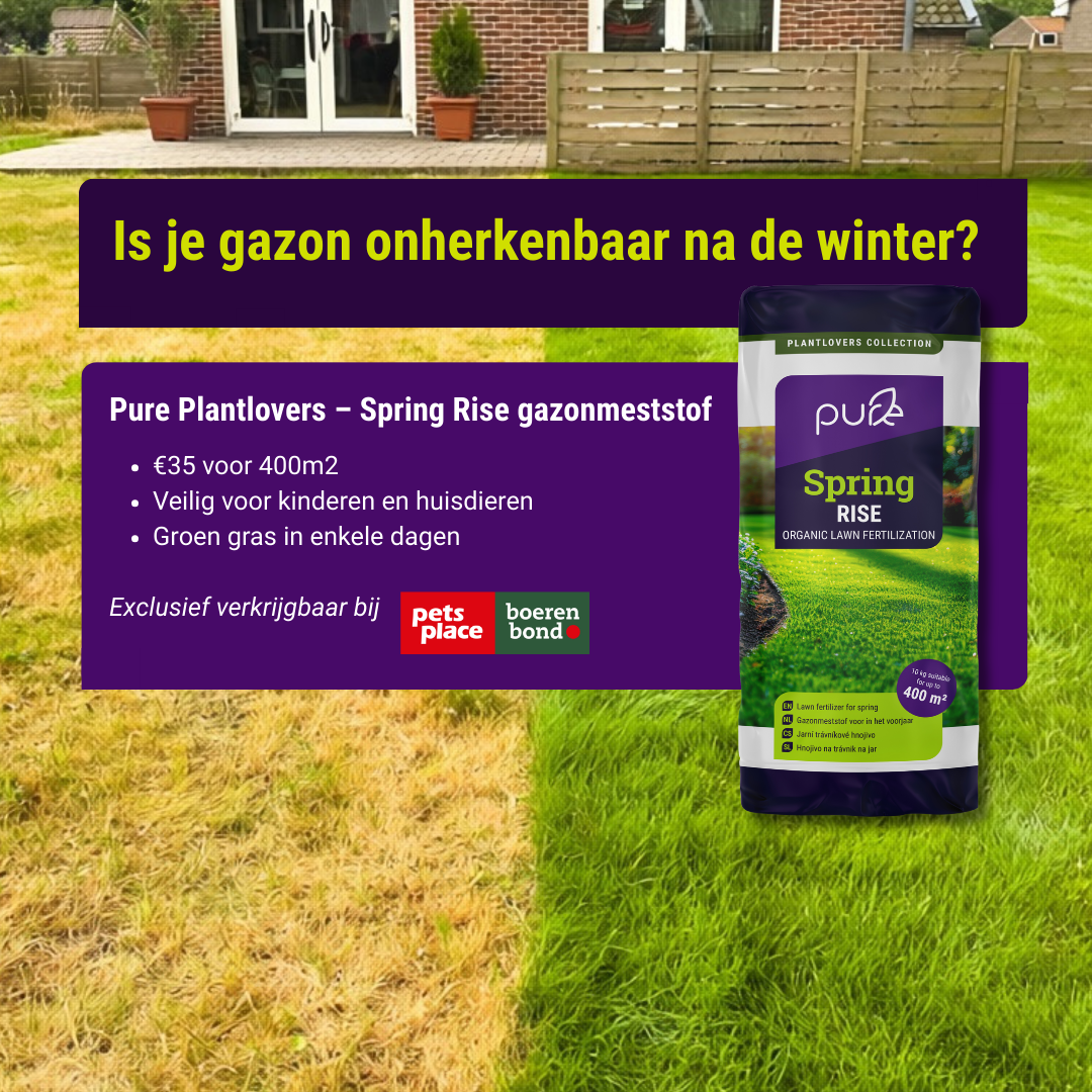 Pureplantlovers Facebook ad from Mar 13, 2026