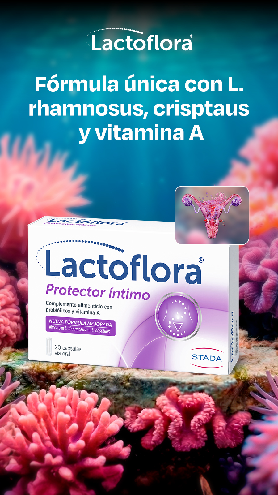 Lactoflora Facebook ad