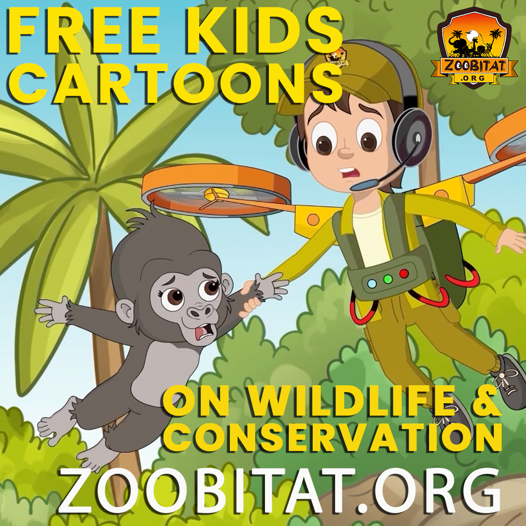 Zoobitat Facebook ad