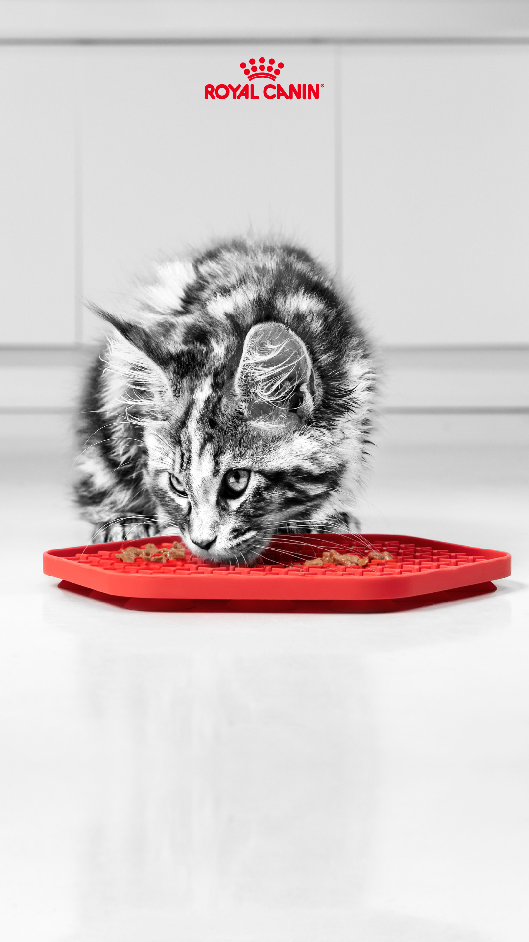 Royal Canin Colombia Facebook ad from Jun 23, 2026