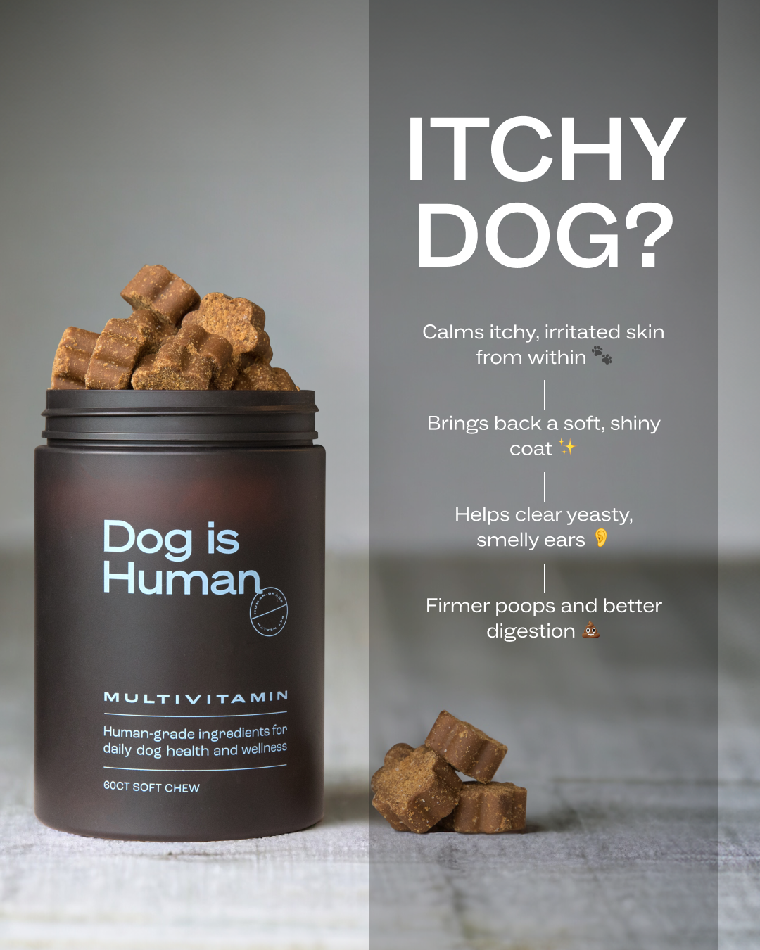 Dog is Human Facebook ad