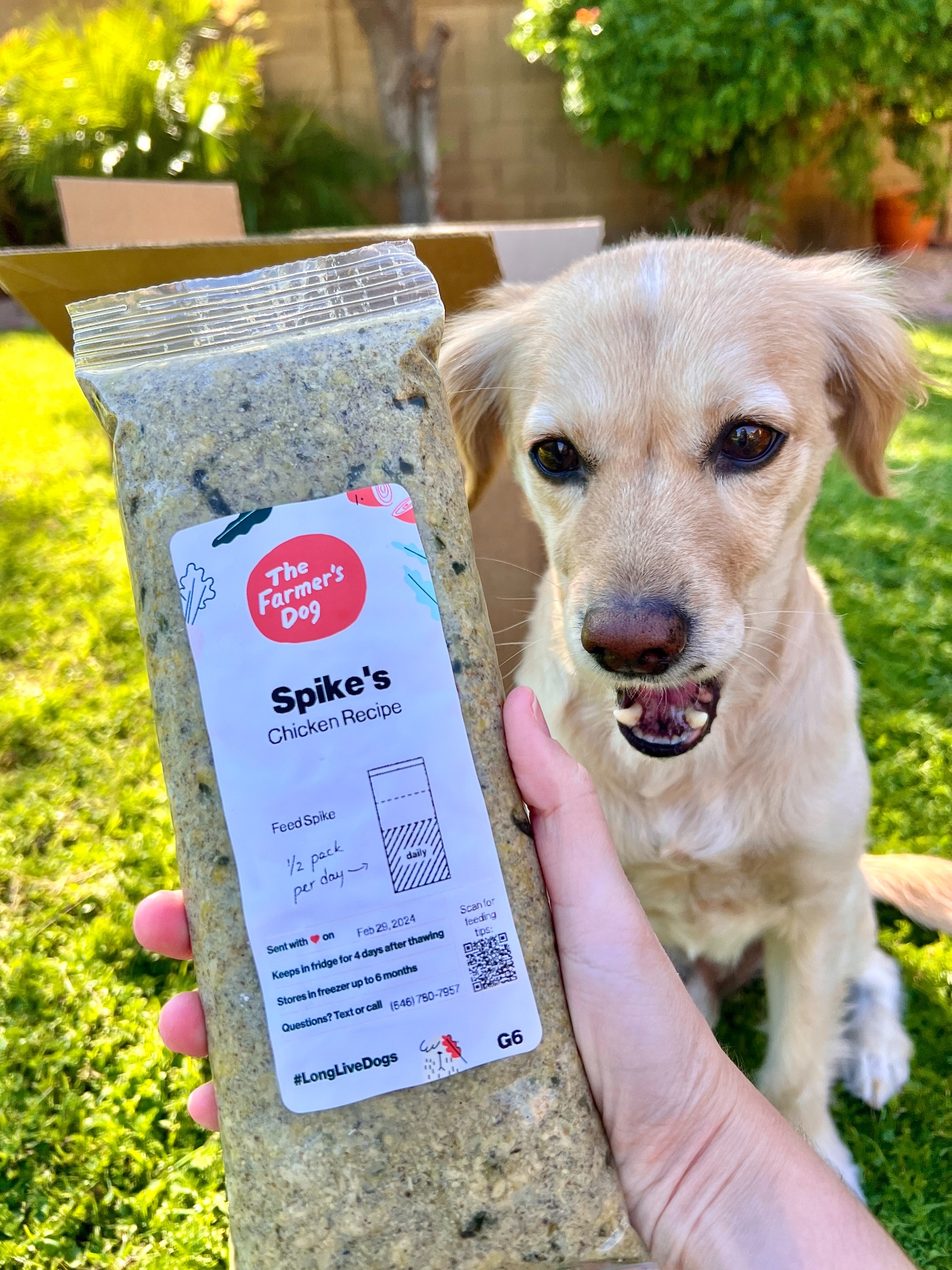 The Farmer's Dog Facebook ad