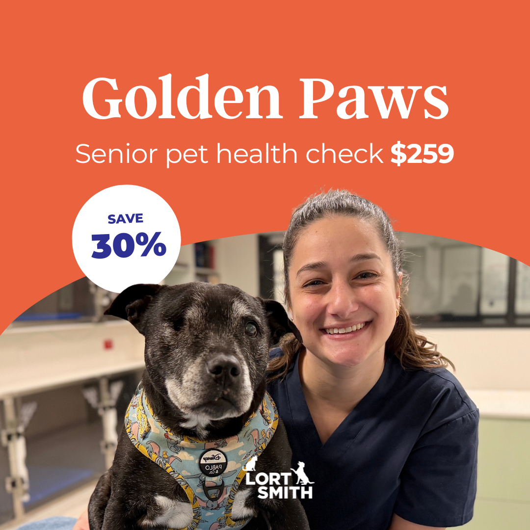 Lort Smith Facebook ad from Jun 13, 2026
