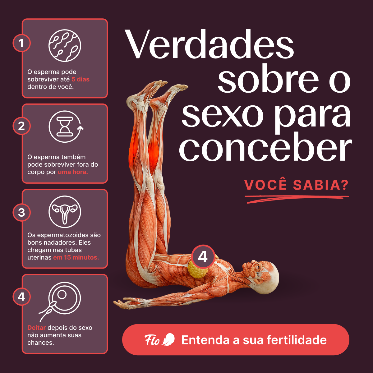 Flo For Perimenopause Facebook ad