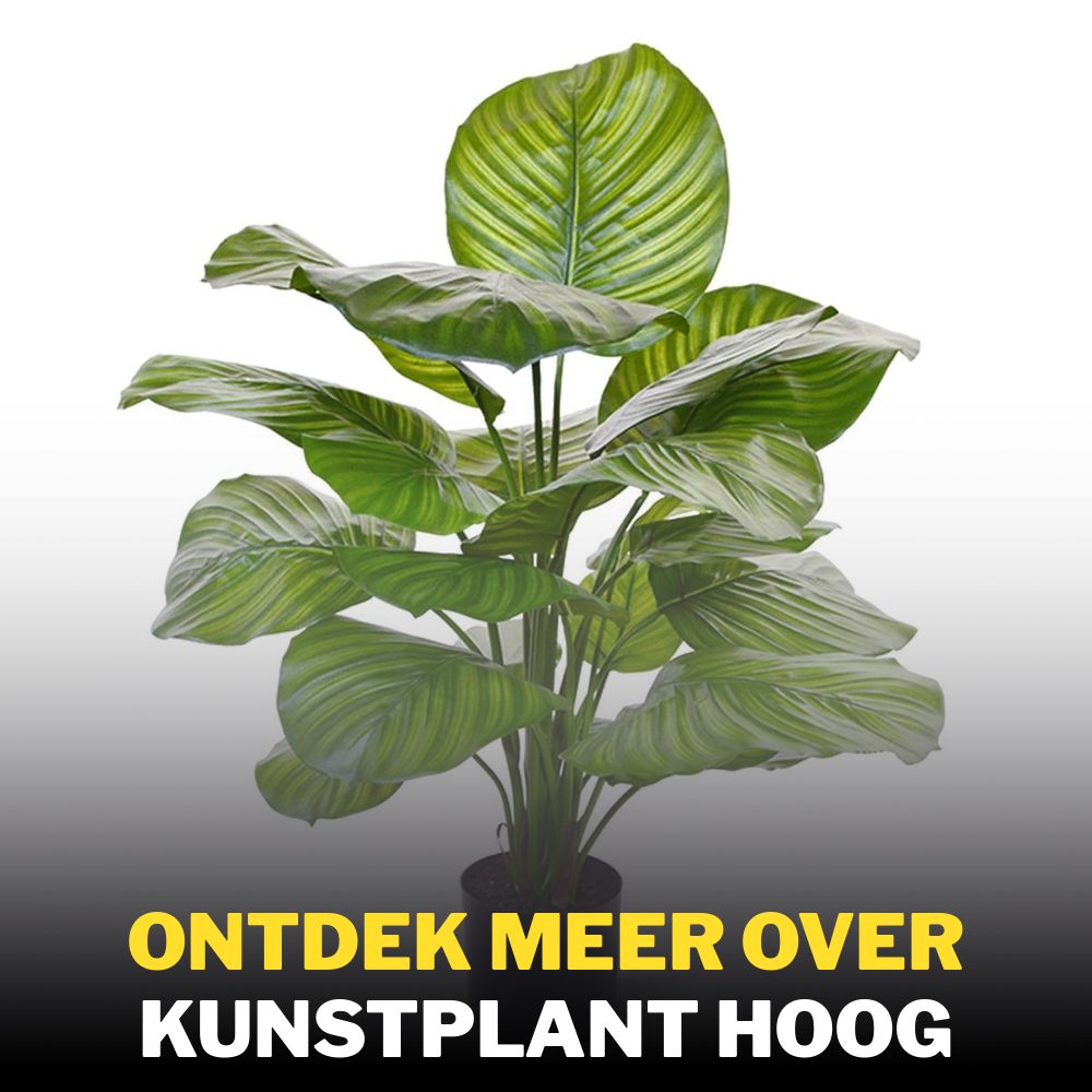 But Bargain Facebook ad: Ontdek meer over Kunstplant Hoog